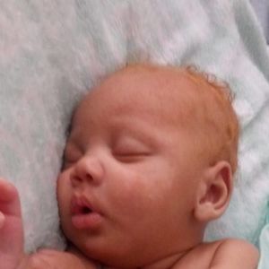 Meet your Posher, Bruce